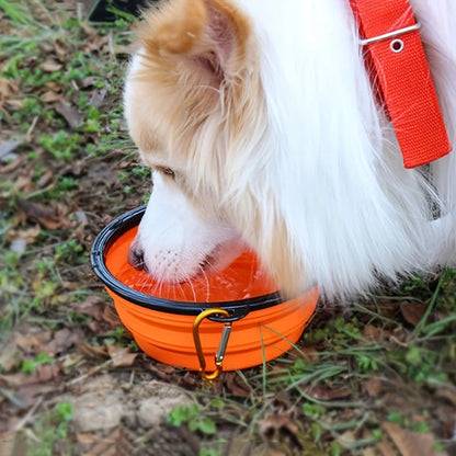 350ML Folding Black Frame Bowl with Keychain Pet Bowl Portable Travel Bowl Convenient Cat Bowl Not Easy to Deform Folding Bowl